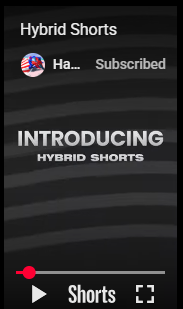 Hybrid Shorts