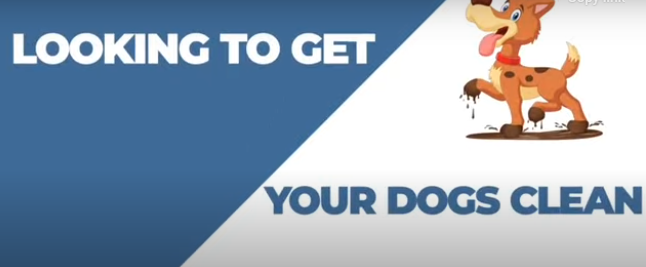 Dog Wash product animation for German Dog wash